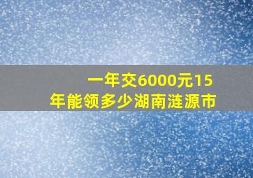 一年交6000元15年能领多少湖南涟源市