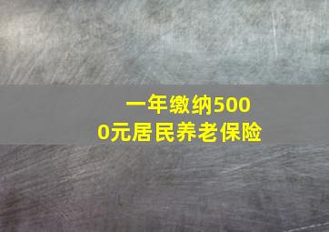 一年缴纳5000元居民养老保险