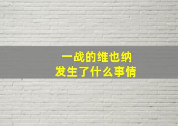 一战的维也纳发生了什么事情