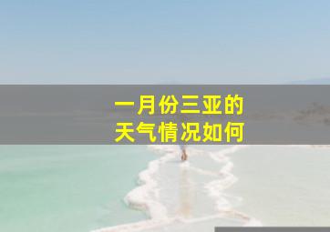 一月份三亚的天气情况如何