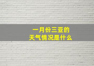 一月份三亚的天气情况是什么