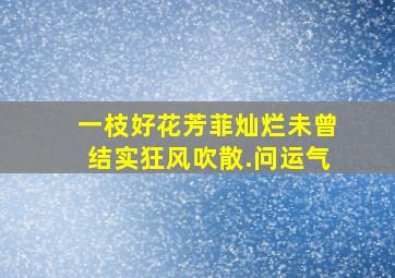 一枝好花芳菲灿烂未曾结实狂风吹散.问运气