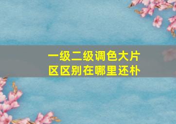 一级二级调色大片区区别在哪里还朴