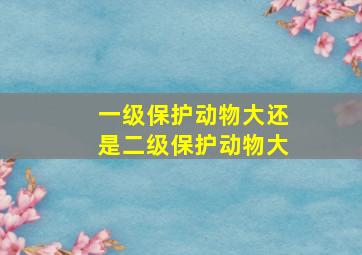 一级保护动物大还是二级保护动物大