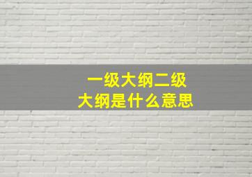 一级大纲二级大纲是什么意思