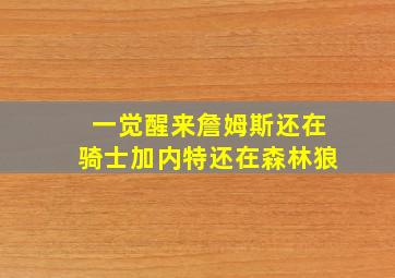 一觉醒来詹姆斯还在骑士加内特还在森林狼