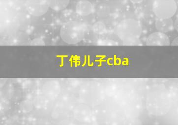 丁伟儿子cba