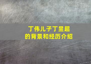 丁伟儿子丁昱超的背景和经历介绍