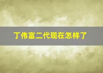 丁伟富二代现在怎样了