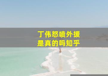 丁伟怒喷外援是真的吗知乎