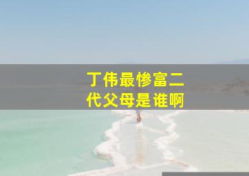 丁伟最惨富二代父母是谁啊