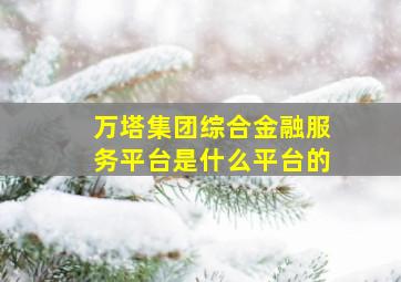 万塔集团综合金融服务平台是什么平台的