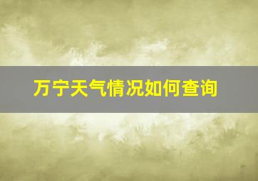 万宁天气情况如何查询