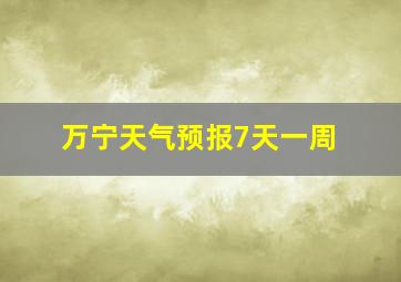 万宁天气预报7天一周