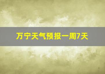 万宁天气预报一周7天