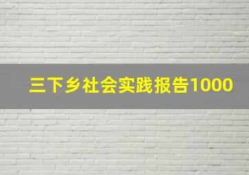 三下乡社会实践报告1000