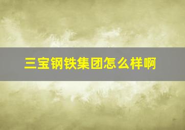 三宝钢铁集团怎么样啊