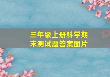 三年级上册科学期末测试题答案图片