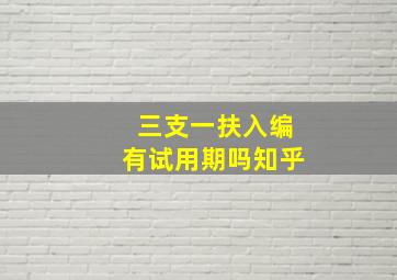 三支一扶入编有试用期吗知乎