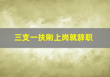 三支一扶刚上岗就辞职