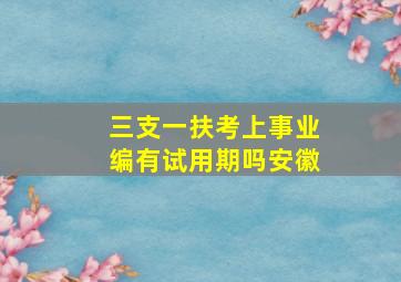 三支一扶考上事业编有试用期吗安徽