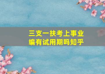 三支一扶考上事业编有试用期吗知乎