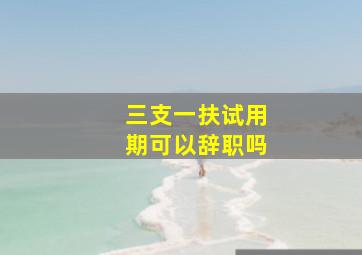 三支一扶试用期可以辞职吗