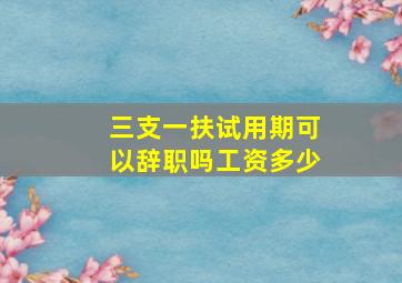 三支一扶试用期可以辞职吗工资多少