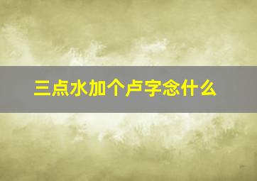 三点水加个卢字念什么