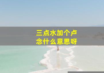 三点水加个卢念什么意思呀