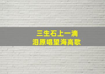 三生石上一滴泪原唱望海高歌