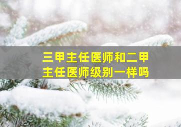 三甲主任医师和二甲主任医师级别一样吗