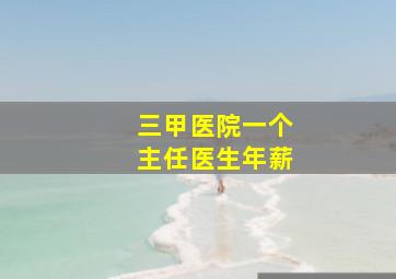 三甲医院一个主任医生年薪