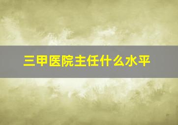 三甲医院主任什么水平