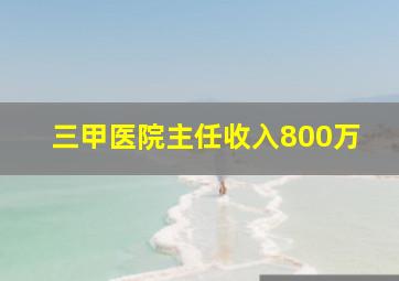 三甲医院主任收入800万