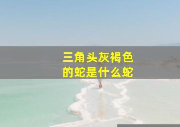 三角头灰褐色的蛇是什么蛇