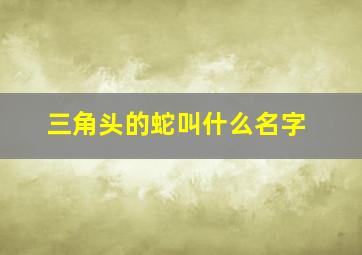 三角头的蛇叫什么名字