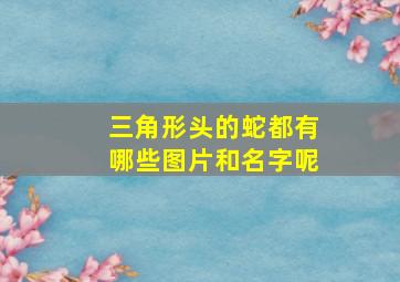 三角形头的蛇都有哪些图片和名字呢