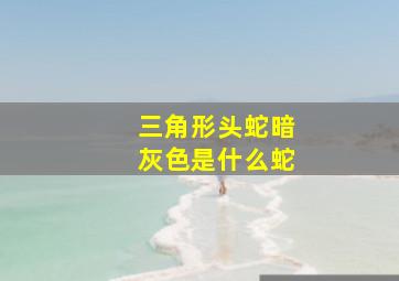 三角形头蛇暗灰色是什么蛇