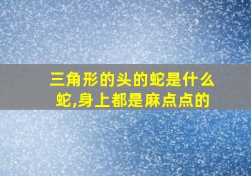 三角形的头的蛇是什么蛇,身上都是麻点点的