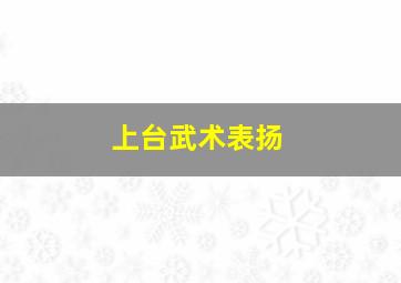 上台武术表扬