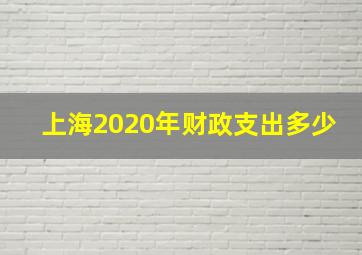 上海2020年财政支出多少