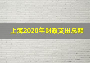 上海2020年财政支出总额