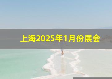 上海2025年1月份展会