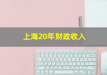 上海20年财政收入