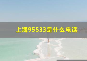 上海95533是什么电话