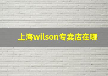 上海wilson专卖店在哪