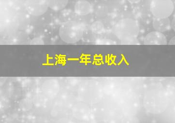 上海一年总收入