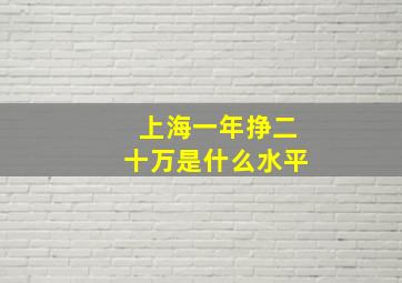 上海一年挣二十万是什么水平