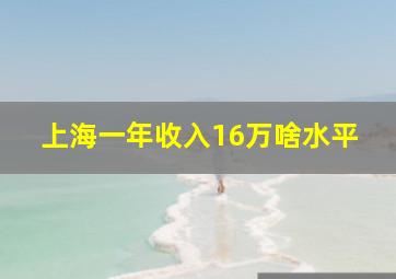 上海一年收入16万啥水平